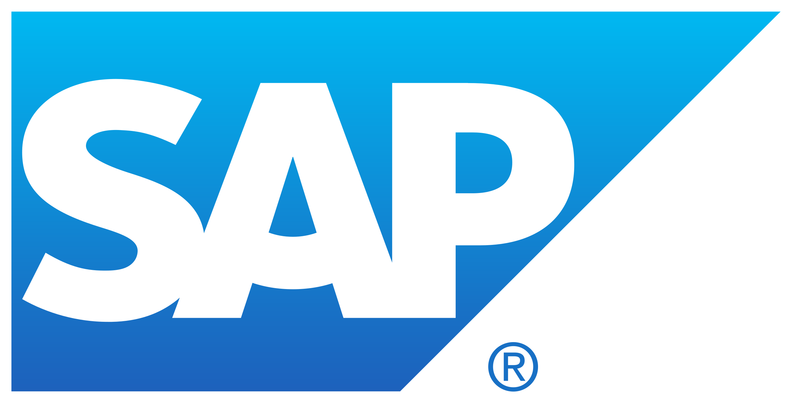2560px SAP 2011 logo.svg